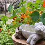 Vakantiehuis Eskiz - Our Stone *