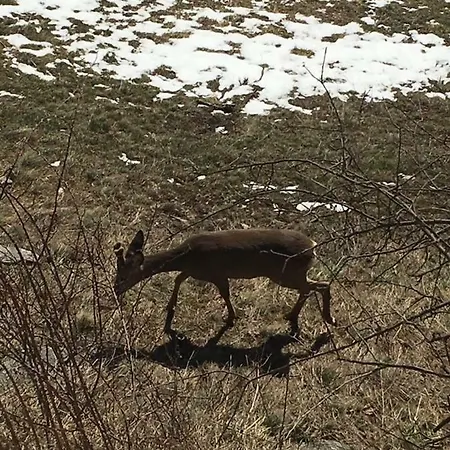 Tatil Evi Eskiz - Our Stone *