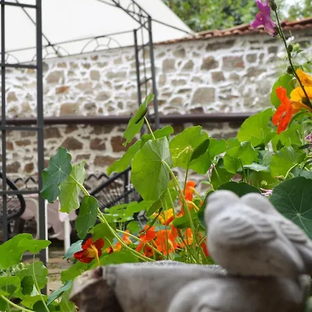 Eskiz - Our Stone Tatil Evi Chepelare