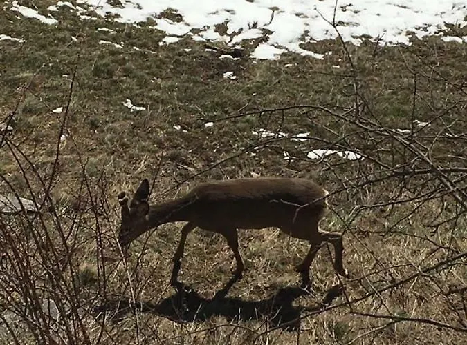 Ваканционна къща Eskiz - Our Stone *